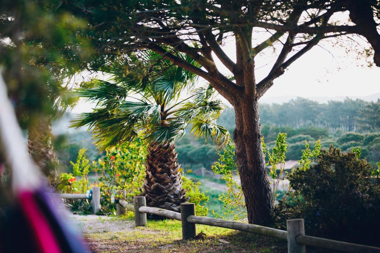 Monte Velho Retreat Centre Hotel อัลเจซูร์ ภายนอก รูปภาพ